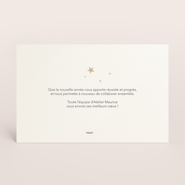 Carte de voeux professionnelle 2027 tons naturels et dorure TA1187-2600044-09-1