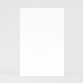 carte 100 vierge rectangulaire effet brillant format portrait TA0330-1800007-09 2
