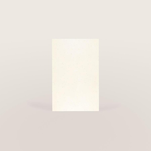 carte de visite format portrait papier recycle avec fibres apparentes TA0330-2600011-09 2