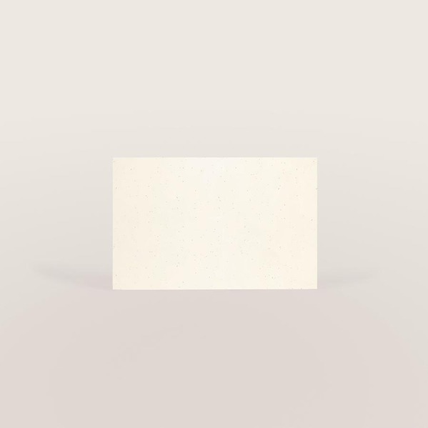 carte de visite format paysage papier recycle avec fibres apparentes TA0330-2600012-09 2