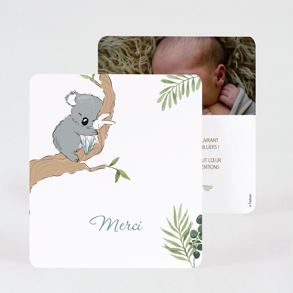 carte-de-remerciement-naissance-famille-koalas-TA0517-2000026-09-1