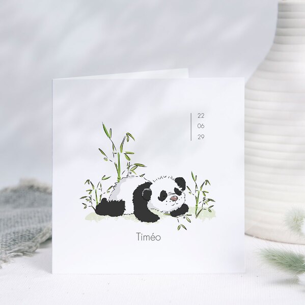 faire part naissance panda et bambou TA05500-2200027-09 1