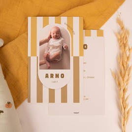 faire part naissance cadre ovale et fond ligne TA05500-2600118-09 3