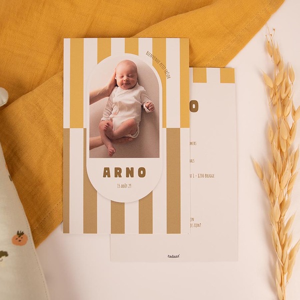 faire part naissance cadre ovale et fond ligne TA05500-2600118-09 3