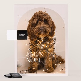 calendrier de l avent grande photo animal de compagnie TA0881-2600004-09 1