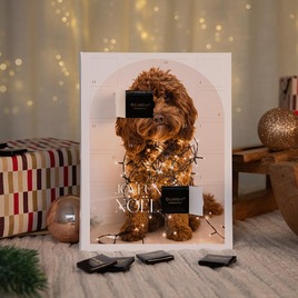 calendrier de l avent grande photo animal de compagnie TA0881-2600004-09 3