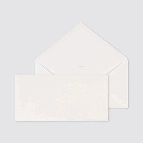 enveloppe-creme-clair-22-x-11-cm-TA09-09202713-09-1