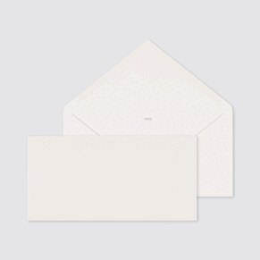 enveloppe-rectangle-scintillante-22-x-11-cm-TA09-09606701-09-1
