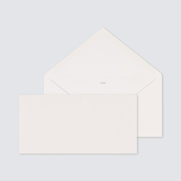 enveloppe-rectangle-scintillante-22-x-11-cm-TA09-09606703-09-1