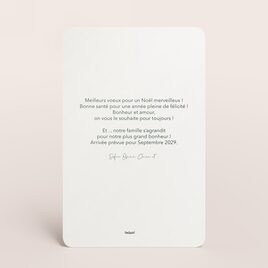 carte de voeux emballage cadeau TA1188-2600100-09 2