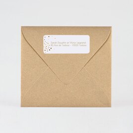 autocollant rectangle noel confettis dores TA11905-2000001-09 2