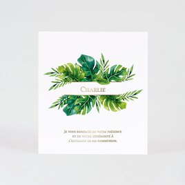 carte de remerciement communion feuilles tropicales et prenom dore TA1228-2200033-09 1