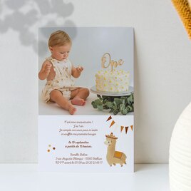 carte d invitation anniversaire enfant lama et confettis grande photo TA1327-2200012-09 2