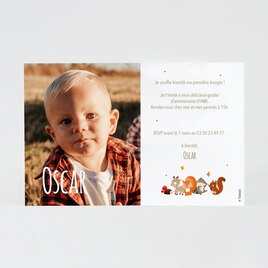 carte d invitation anniversaire enfant animaux de la foret et grande photo TA1327-2200014-09 2