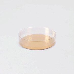 contenant-bonbons-transparent-rond-fete-TA392-102-09-1